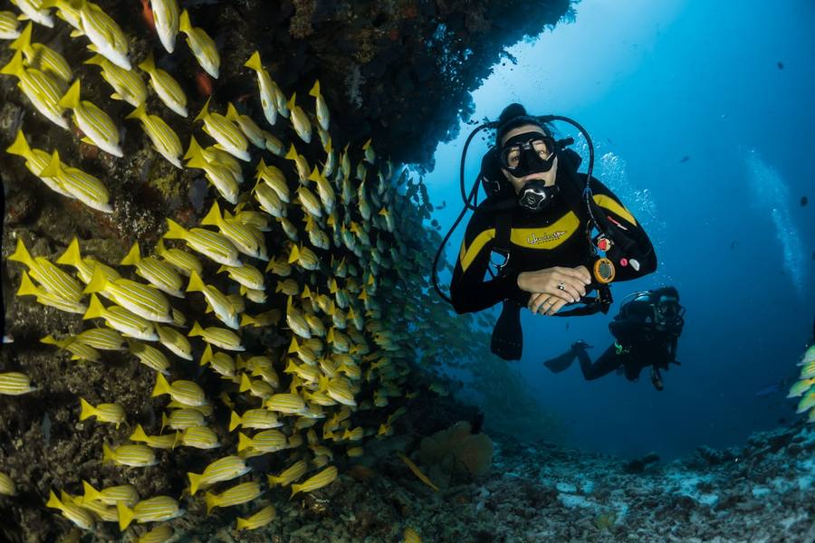Traveler exploring a reef excursion on vacation